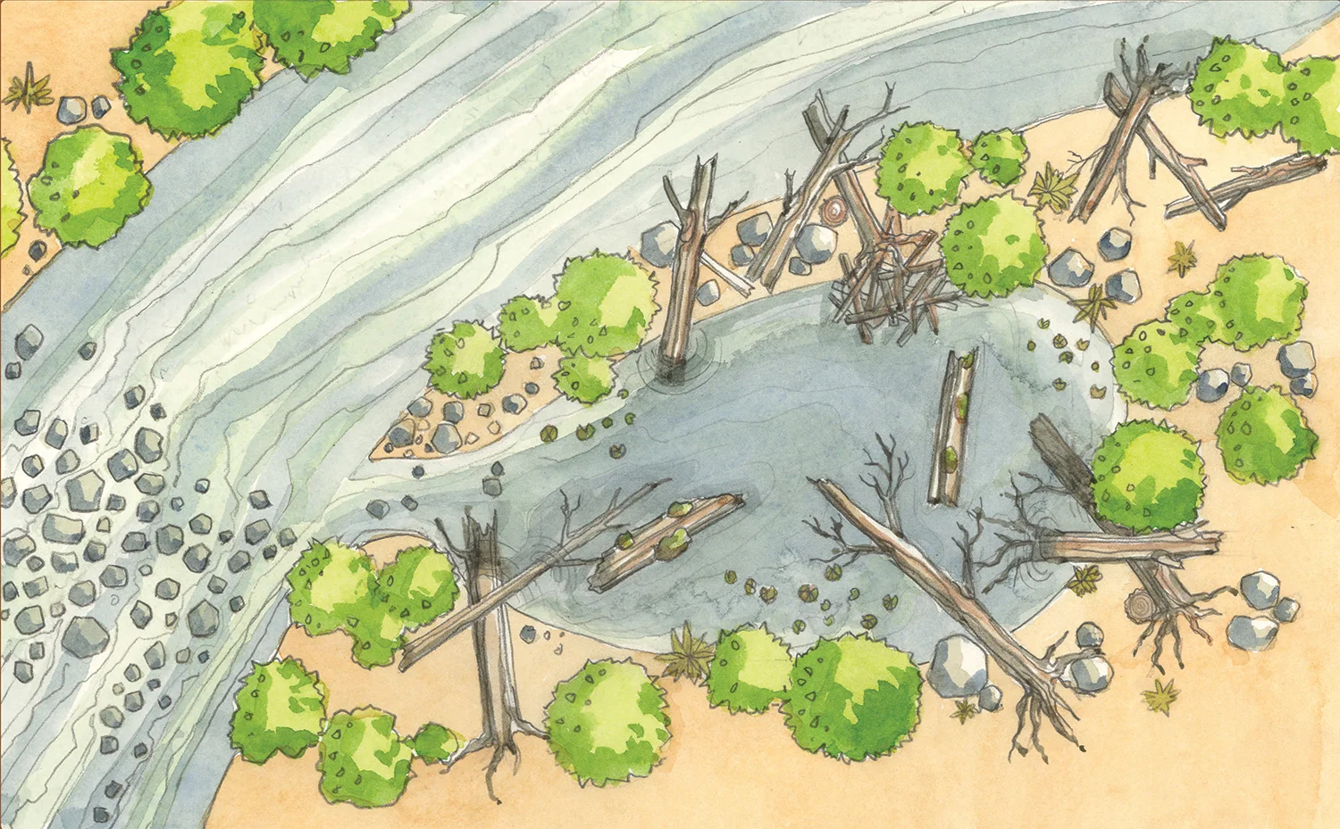 illustration.jpg