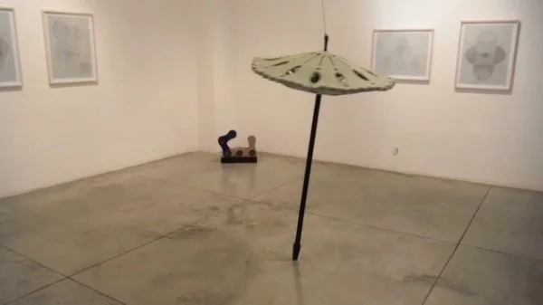   Documentation of moving pieces |  &nbsp;  Exibition "Simple movimiento armonico",&nbsp;  Galería Arroniz, Mexico City, 2014  