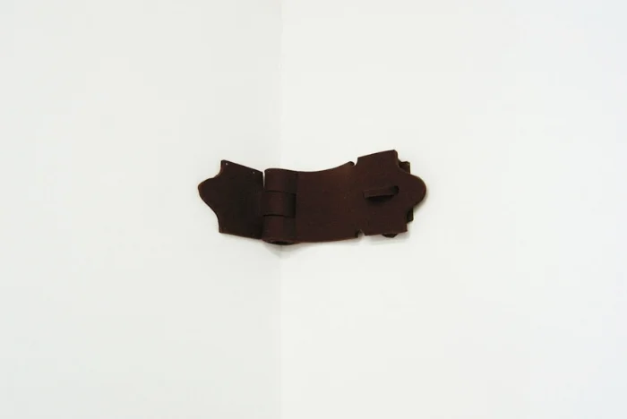   Mycetochara  , 2012 | Felt and thread | 45 x 13 x 6 cm     