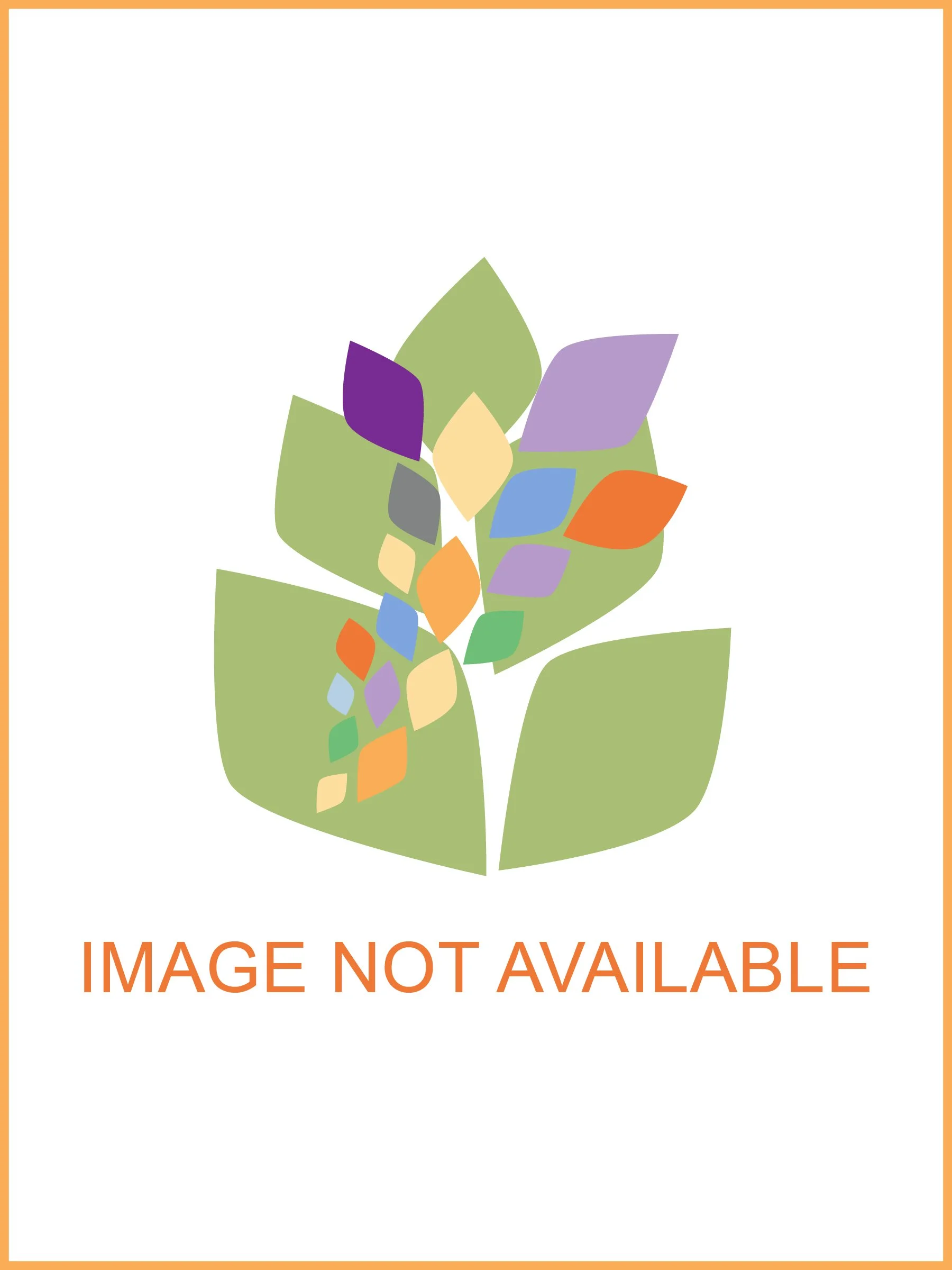 Baptisia 'Lunar Eclipse'