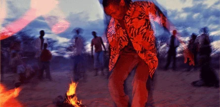 Photo by Herbert Brauer