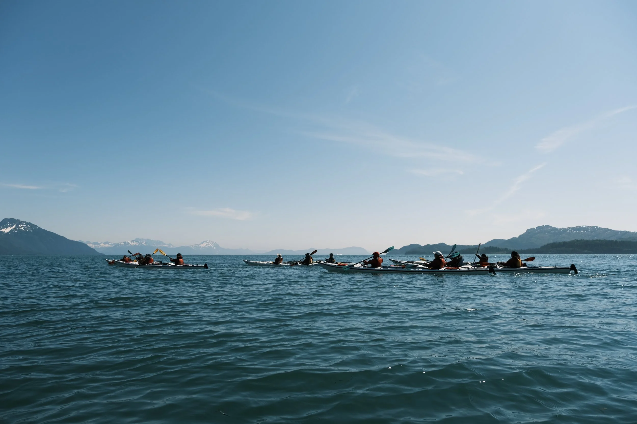 What STEP Scholars Have to Say About The 2022 Alaskan Expedition