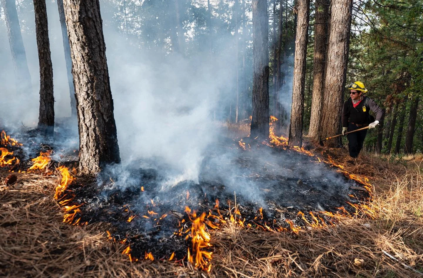 Igniting change with every flame. Prescribed fire isn't just about burning brush, it&rsquo;s about nurturing nature's rhythm.