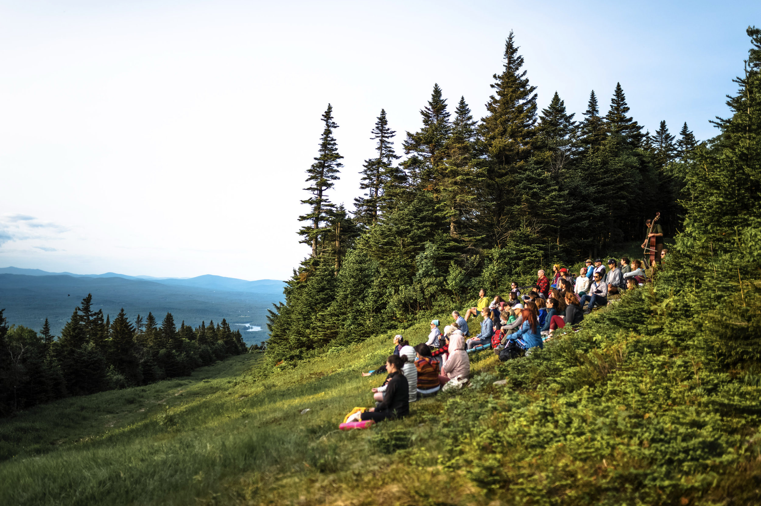 Screenshot 2026-02-16 at 2.26.57 PM.png