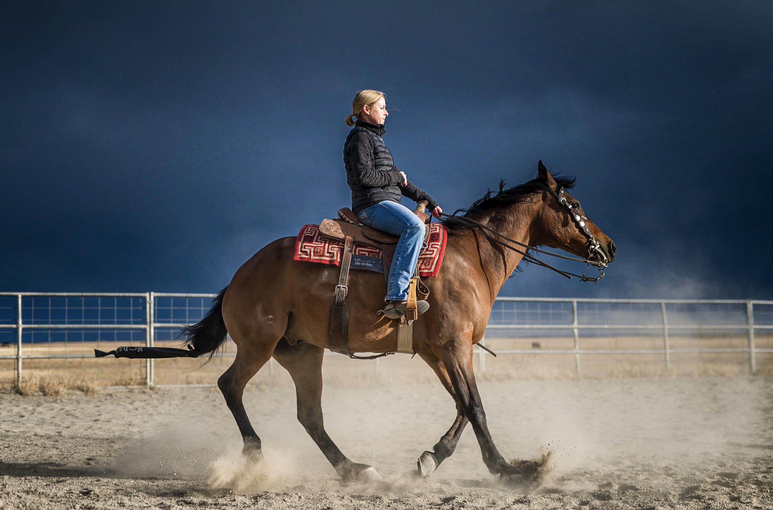 Screenshot 2026-02-16 at 3.02.26 PM.png