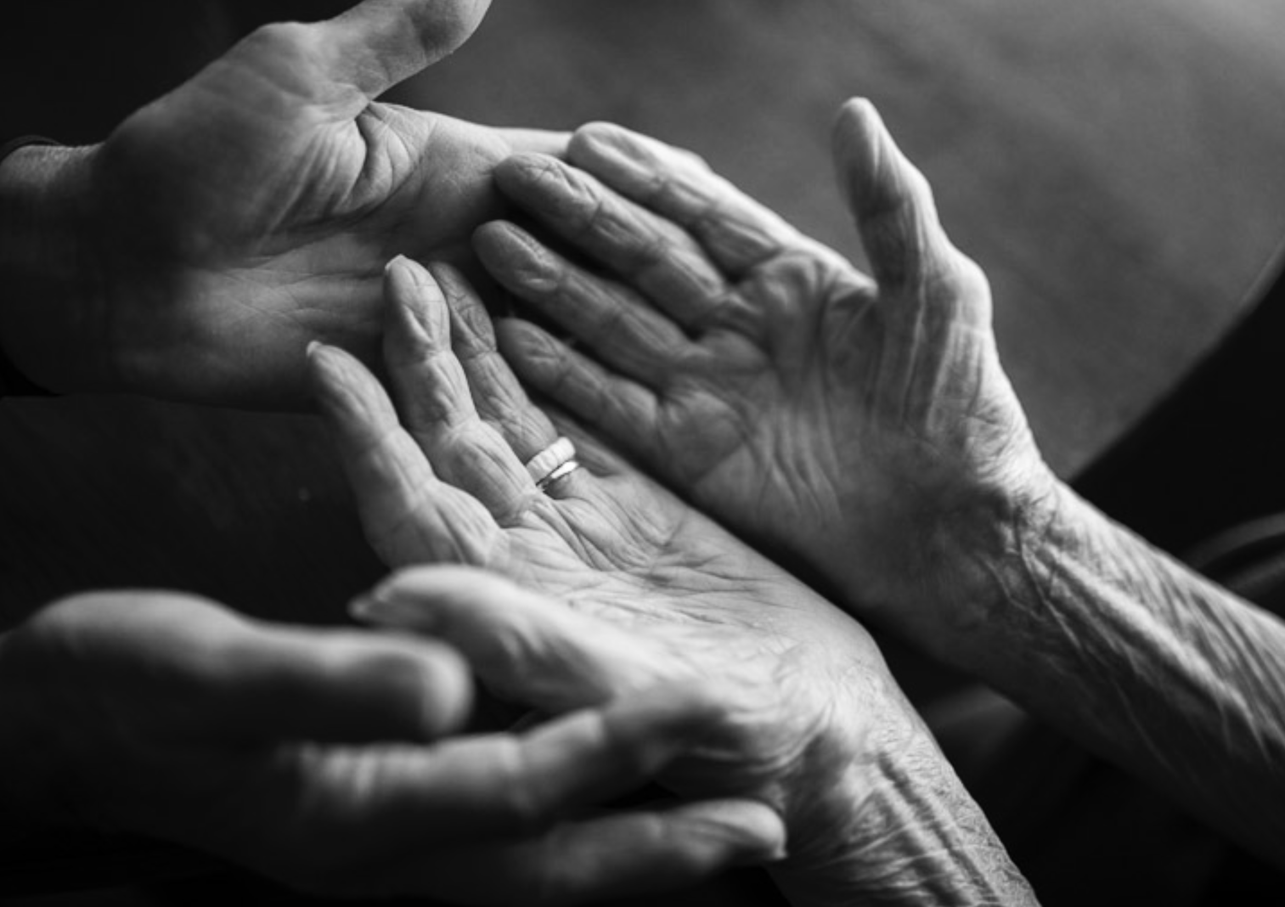 Screenshot 2026-02-16 at 2.34.23 PM.png