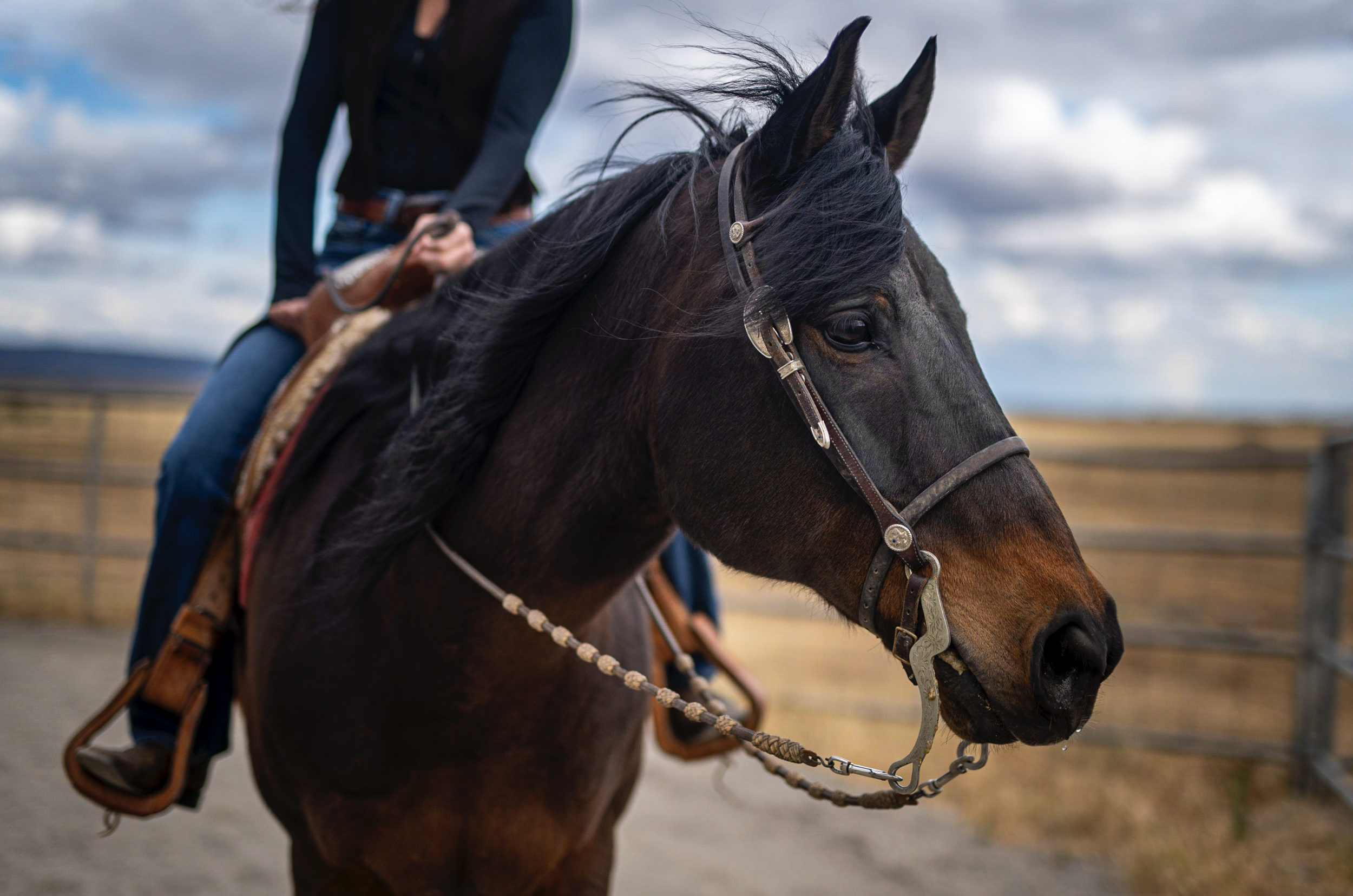 Screenshot 2026-02-16 at 3.02.12 PM.png