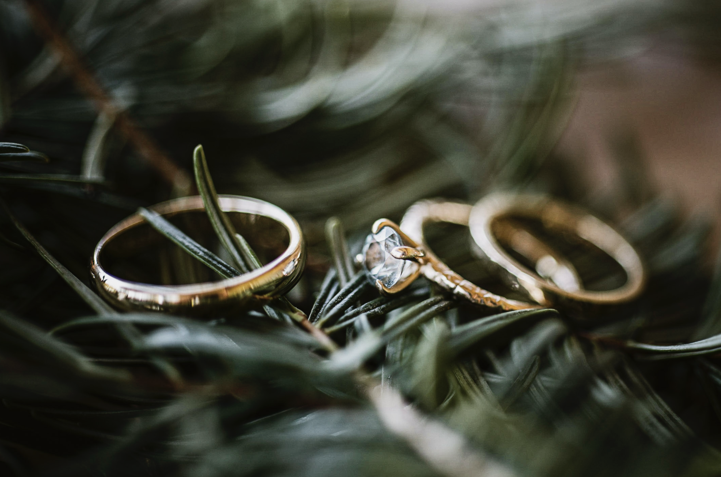 Screenshot 2026-02-16 at 2.45.07 PM.png