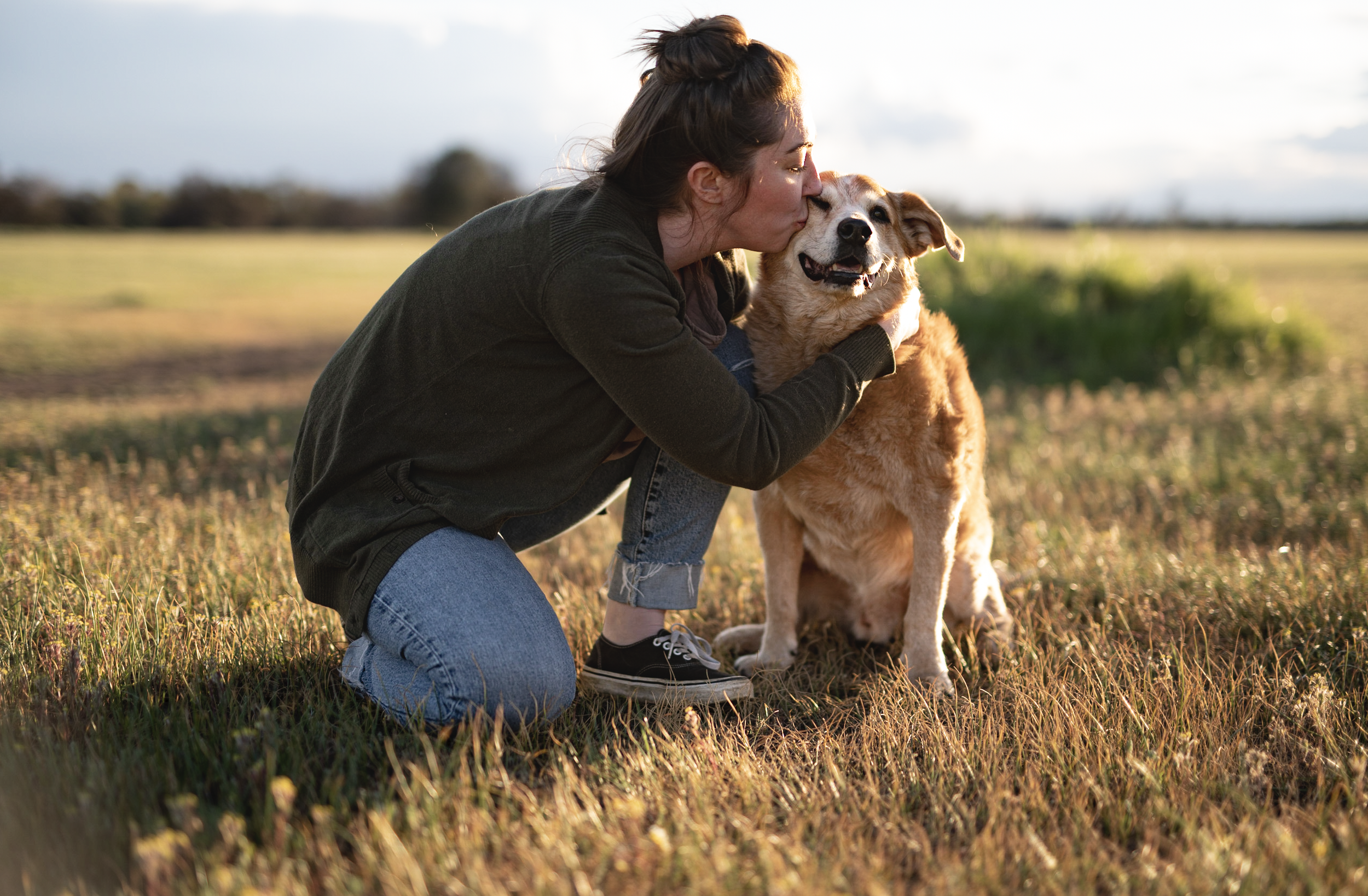 Screenshot 2026-02-16 at 2.59.02 PM.png