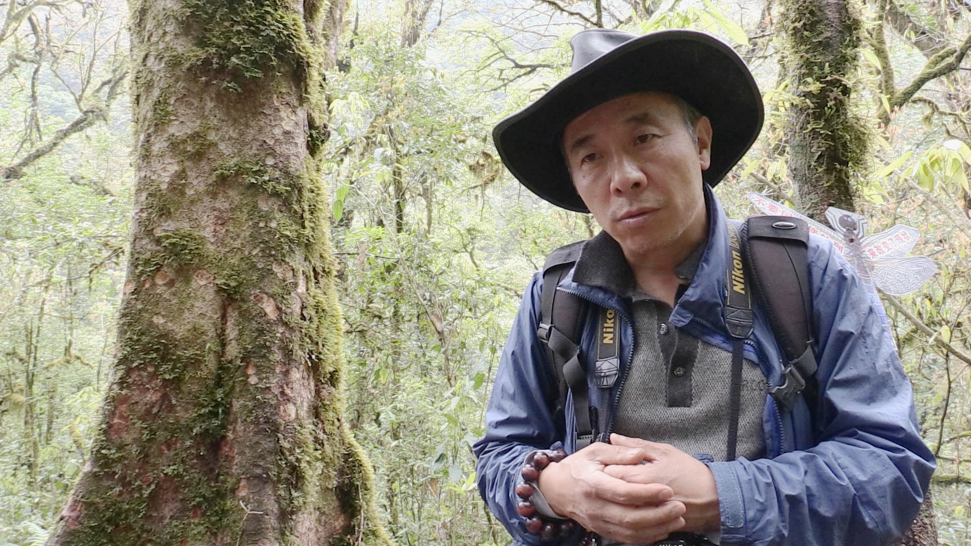 Fang Zhendong | Conservation Biologist Fang Zhendong is the director of the Shangri-la Alpine Botanic Garden, located in Shangri-la, Yunnan province.