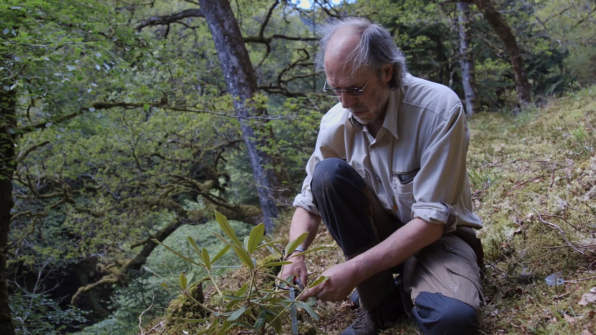 Pushed Up The Mountain Still 2