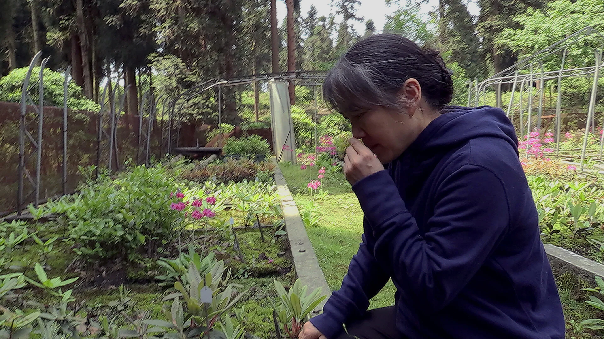 Pushed Up The Mountain Still 3