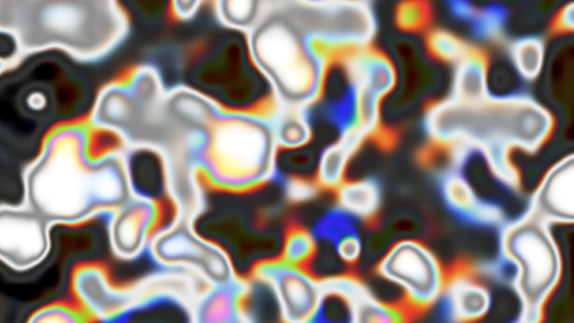 Glint Field, 2019 {Web Opt - Close} [Rig 7].jpg