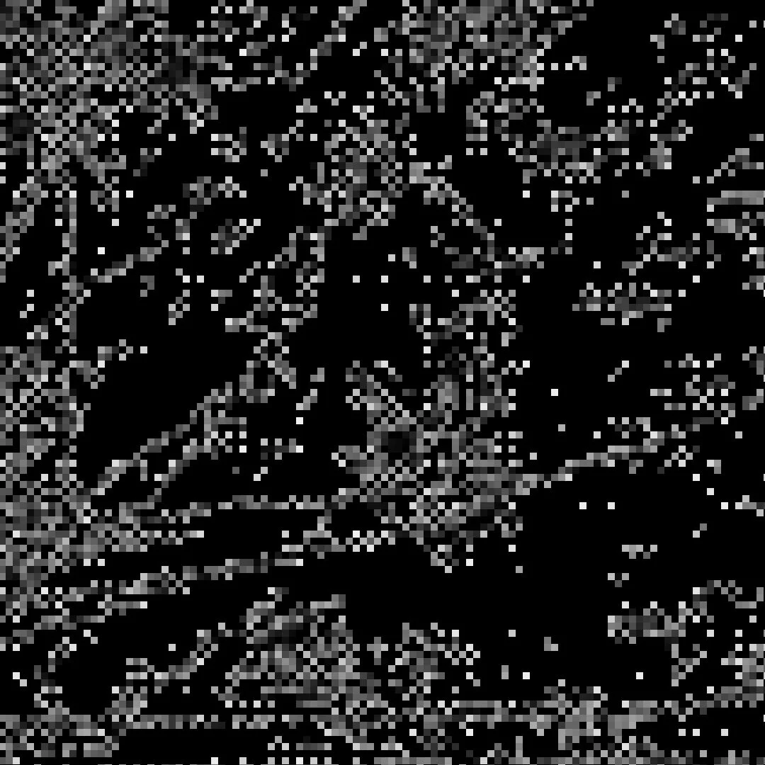 2B2T+2020+1+-+X+Version+small+3.jpg