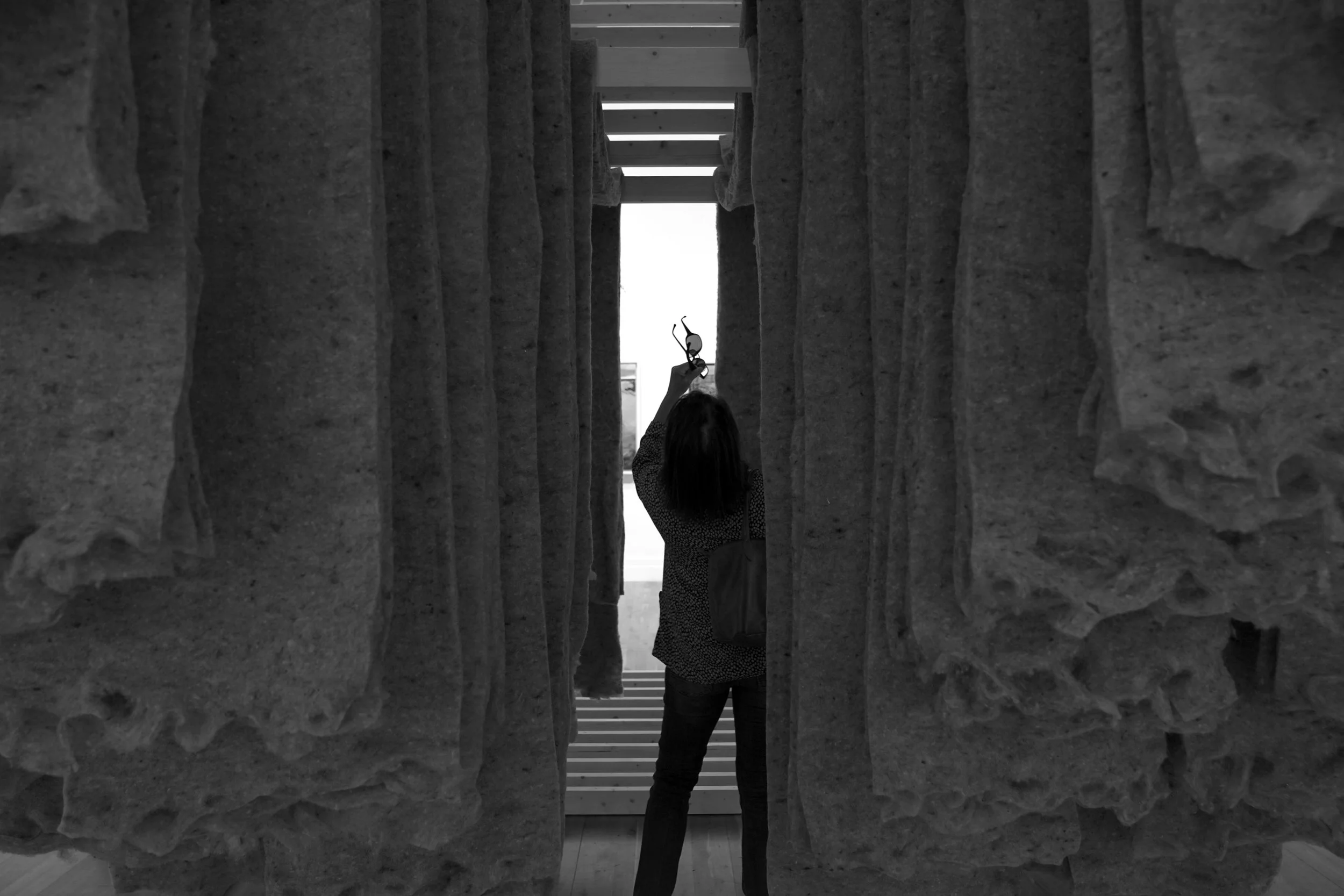 the fall gsDSC00014.jpg