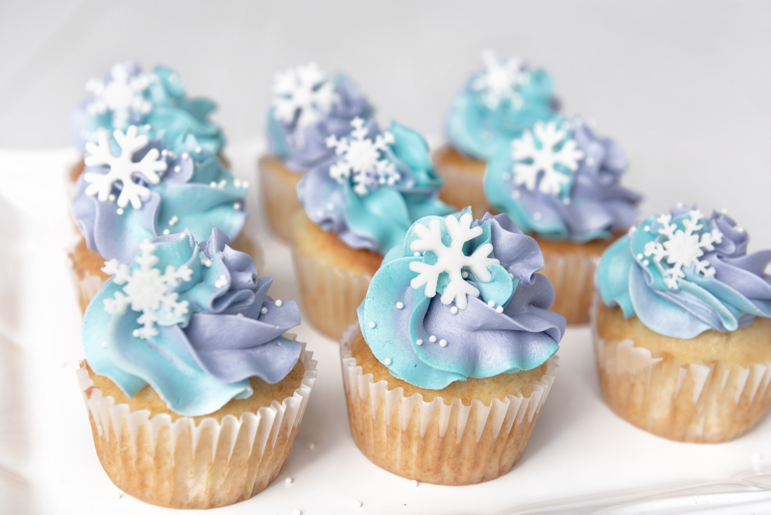 Frozen cupcakes.jpg