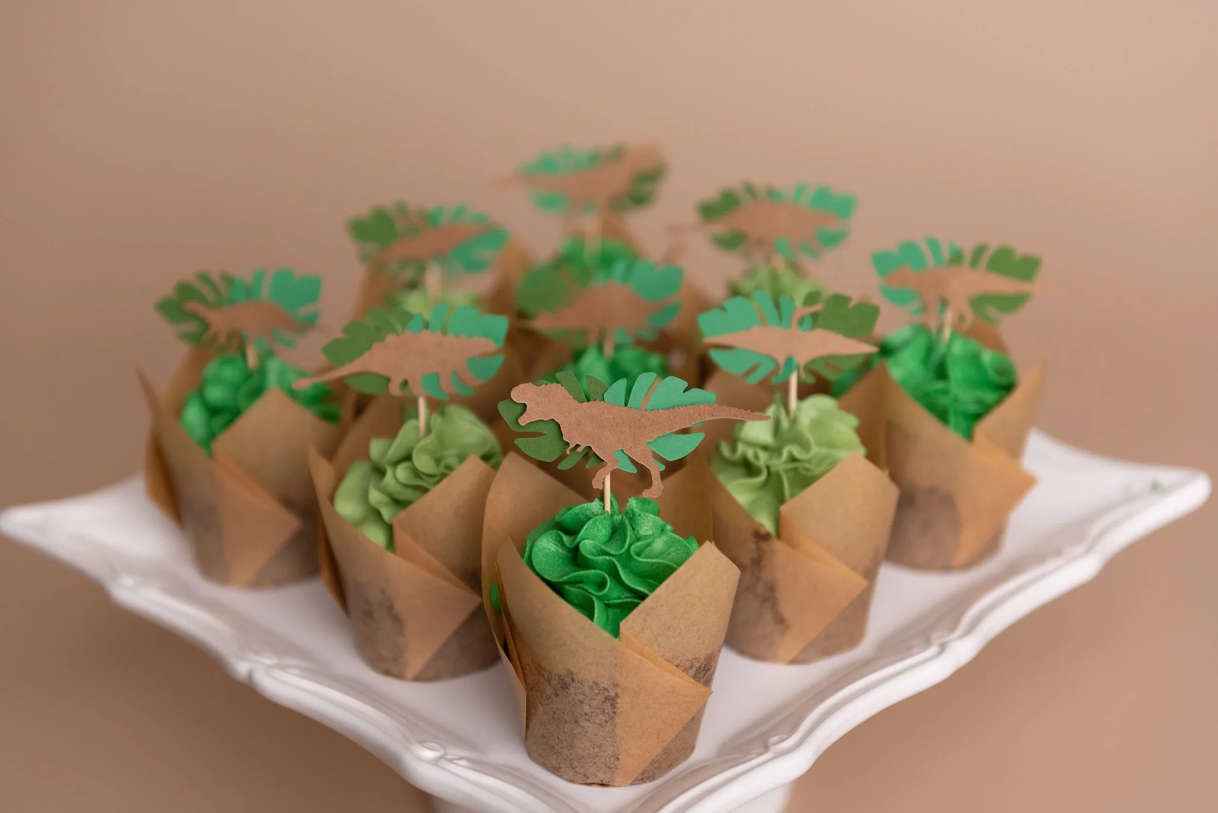 Dinosaurcupcake.webp