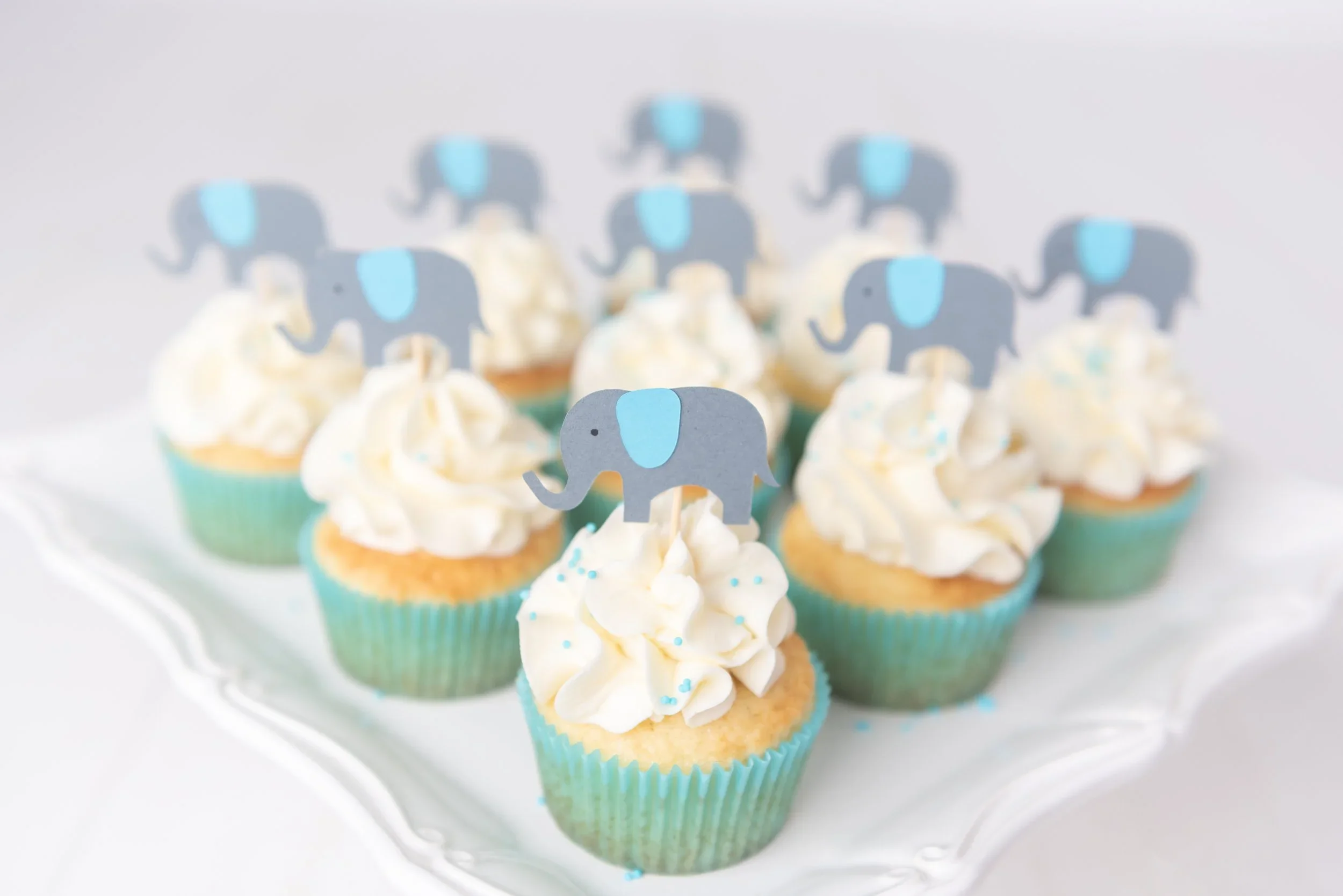 elephantcupcakes.webp