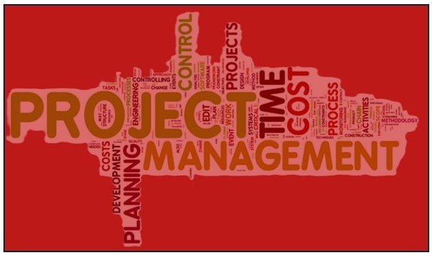 The Importance of an Experienced Project Manager in IT Project and Support Service Success