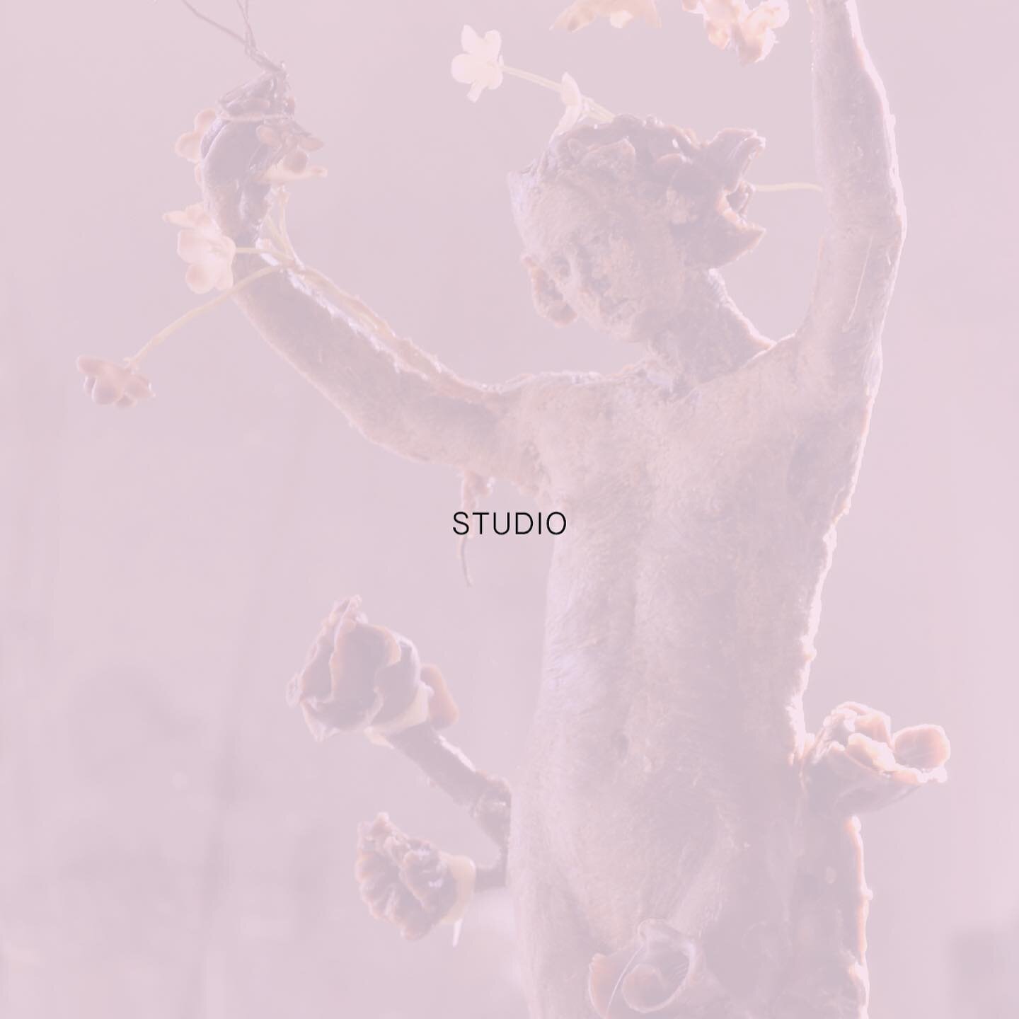 STUDIO