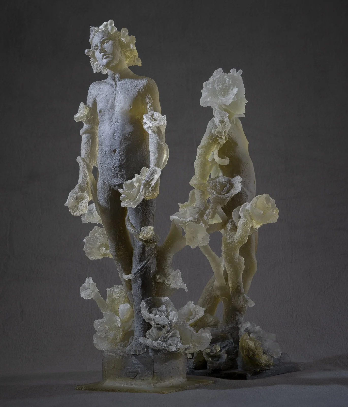 Daphne (Variations 1 & 2)