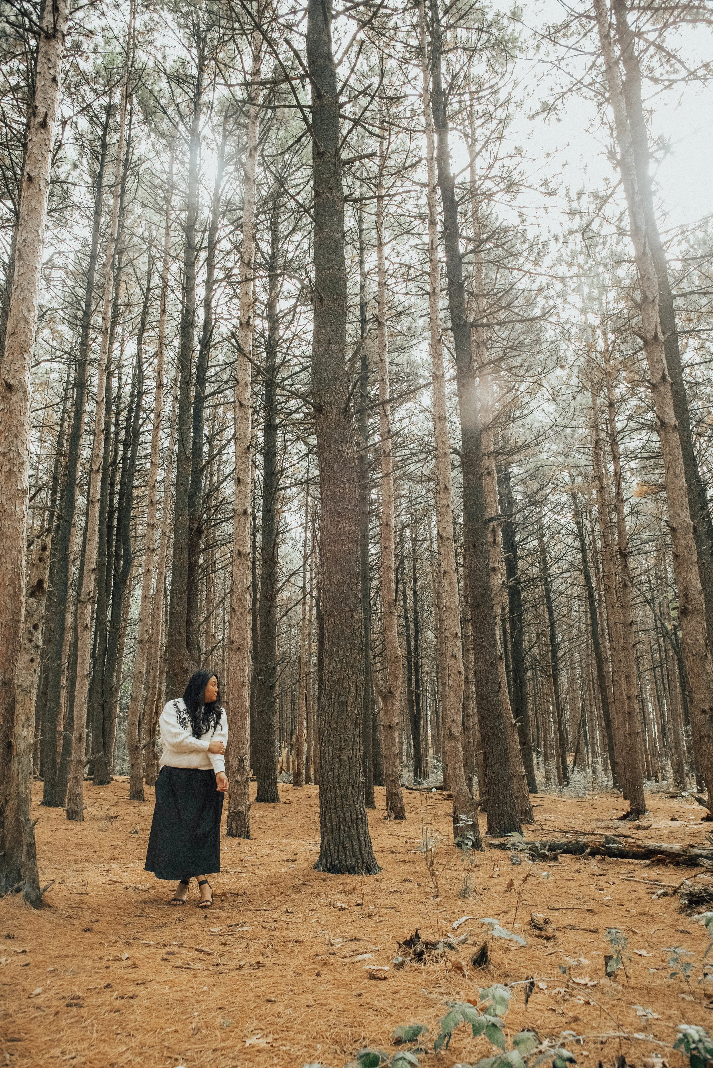 sincerely-ashley-blog