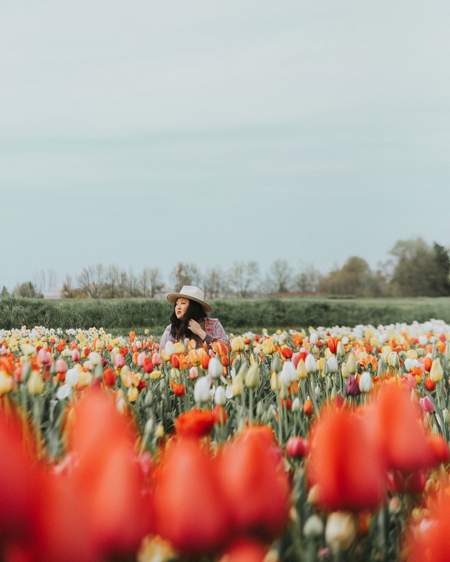 Veldheer Tulip Gardens