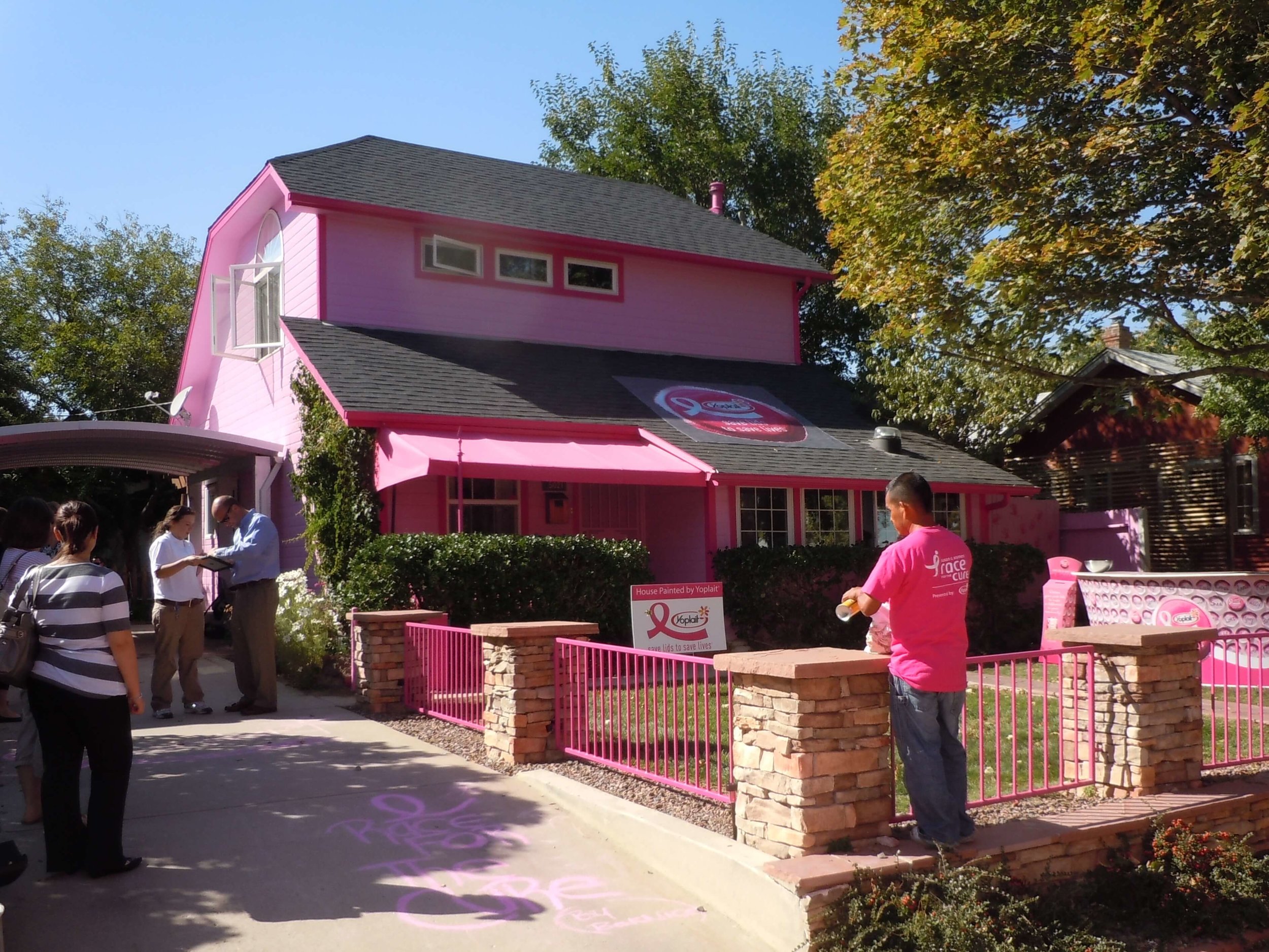Completed Pink House