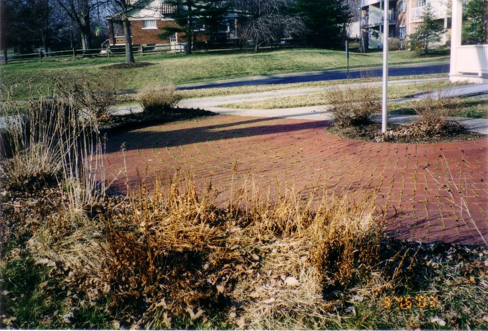 garden 3.jpg