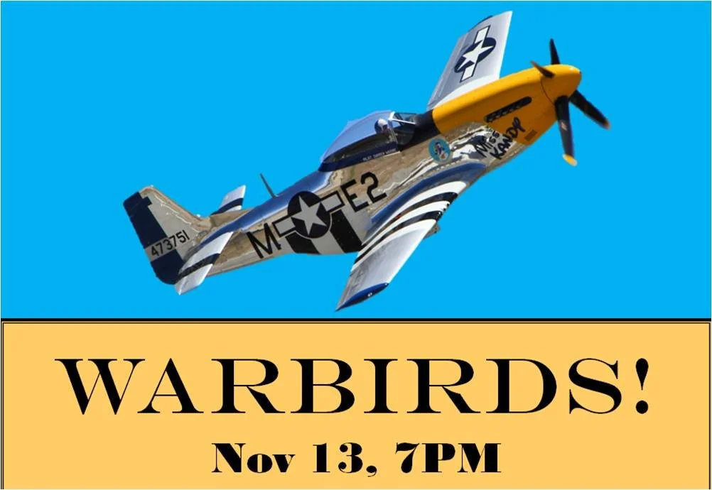 WARBIRDS!