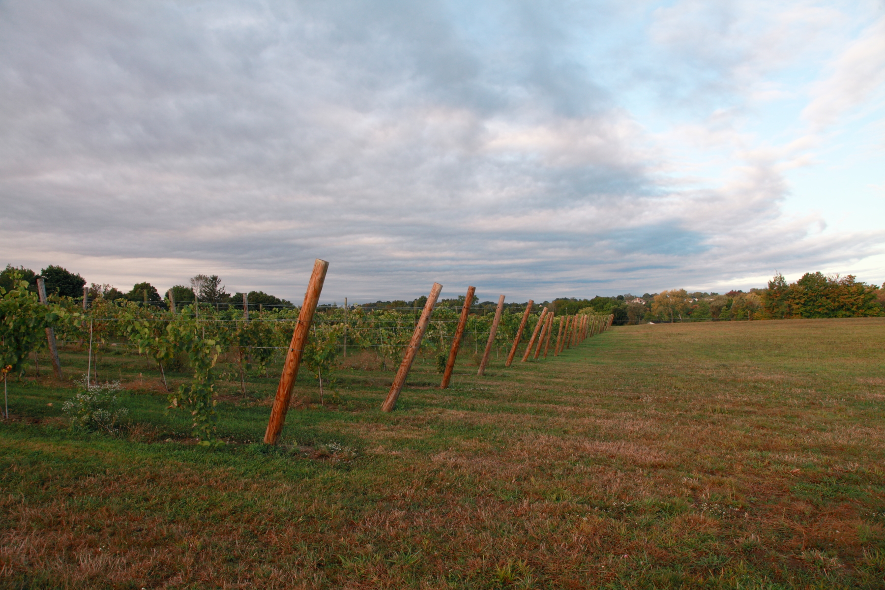 Hawk Ridge Farm About β Hawk Ridge Winery