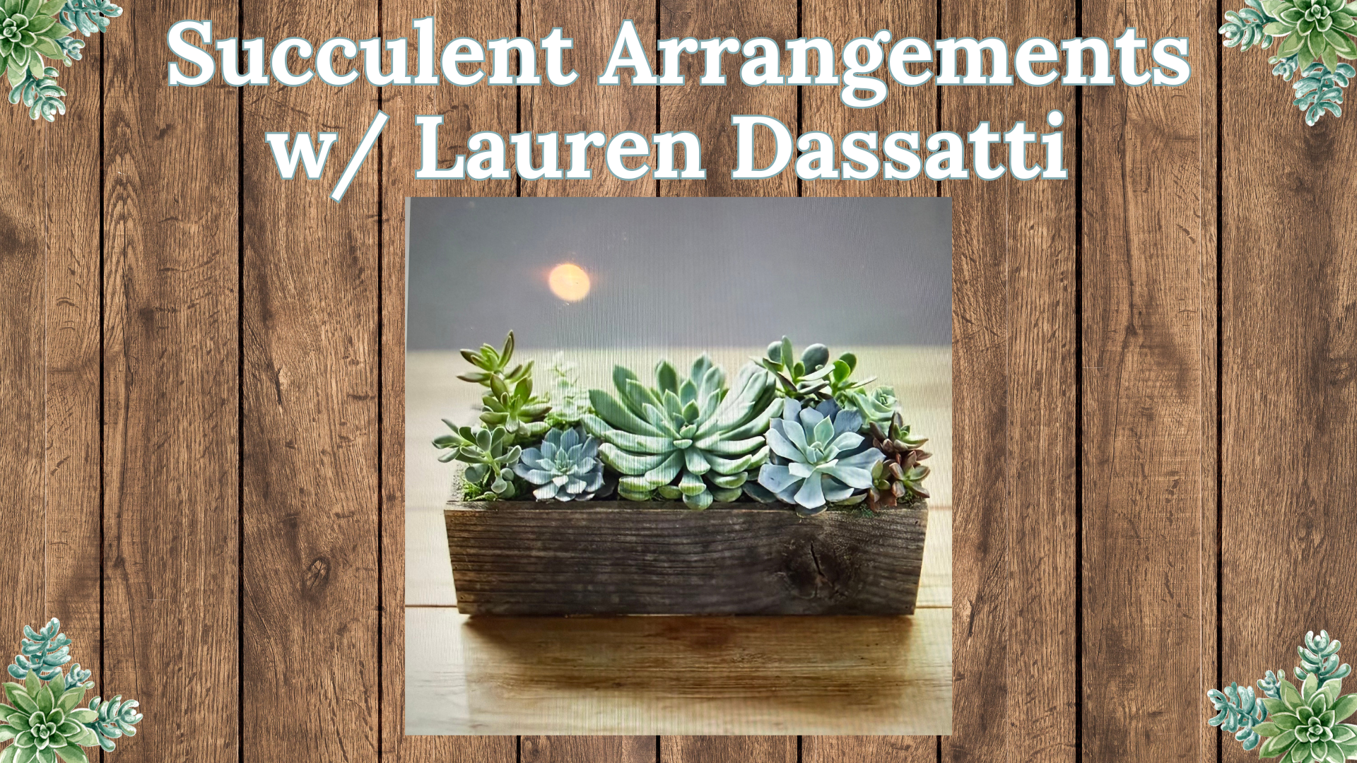 Succulent Arrangements with Lauren Dassatti from Sweet Pea's Florist