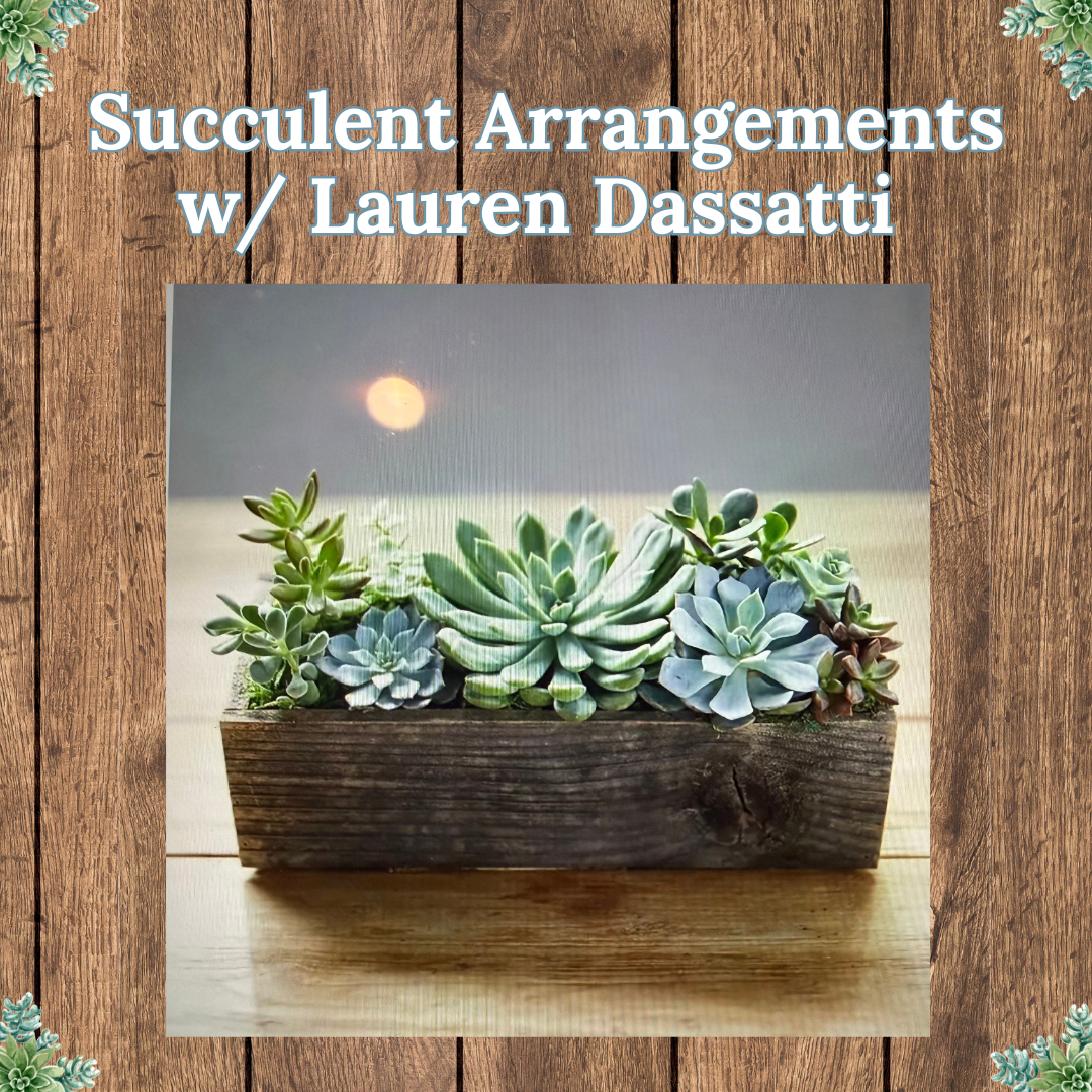 Succulent Arrangements (1080 x 1080 px) (1).png