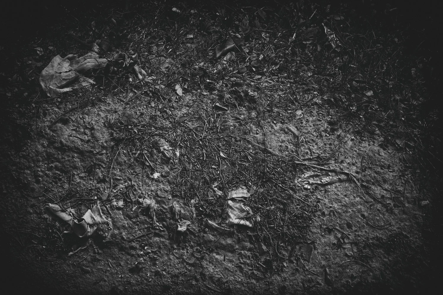 Killing Fields