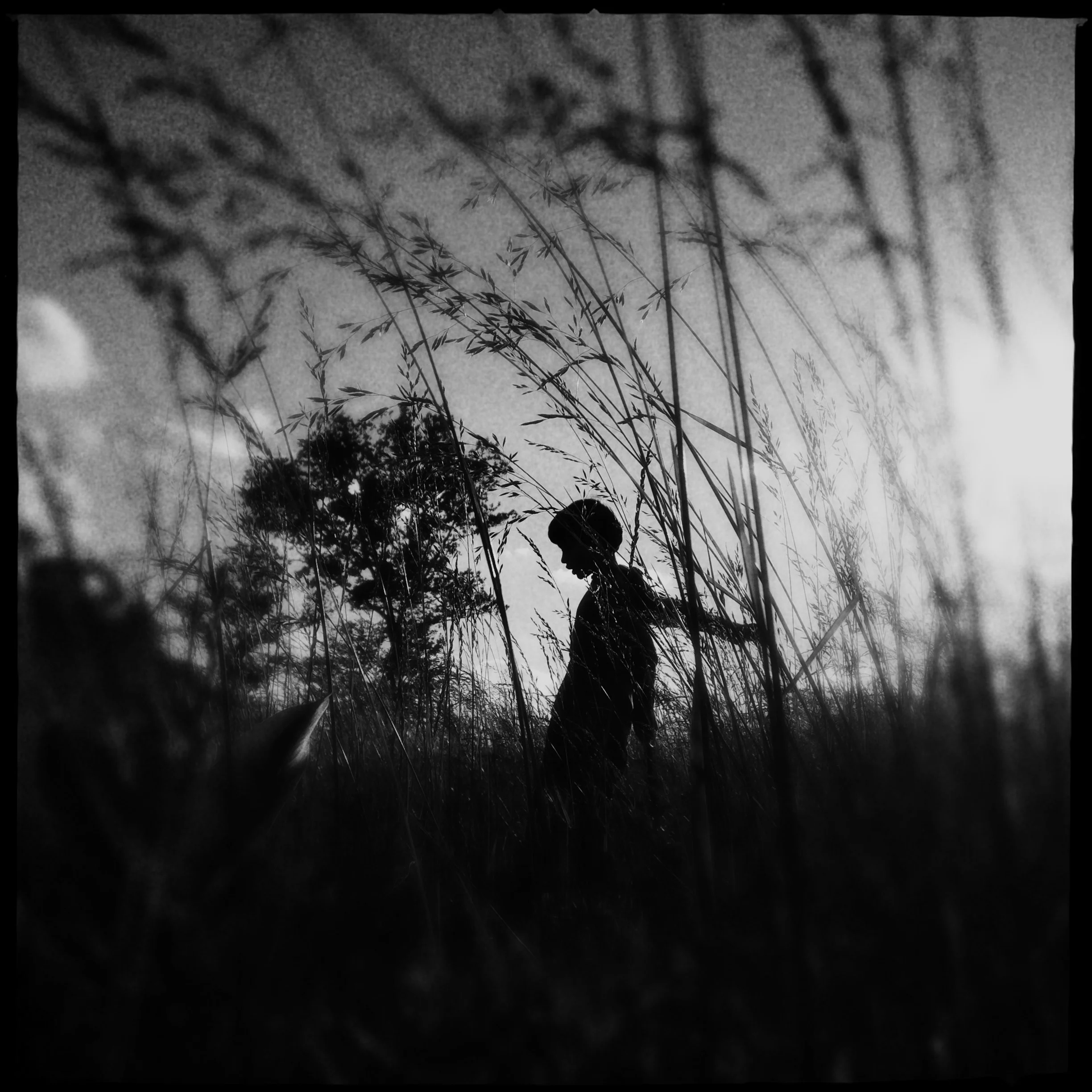 CT_Jack May 2013__453.JPG