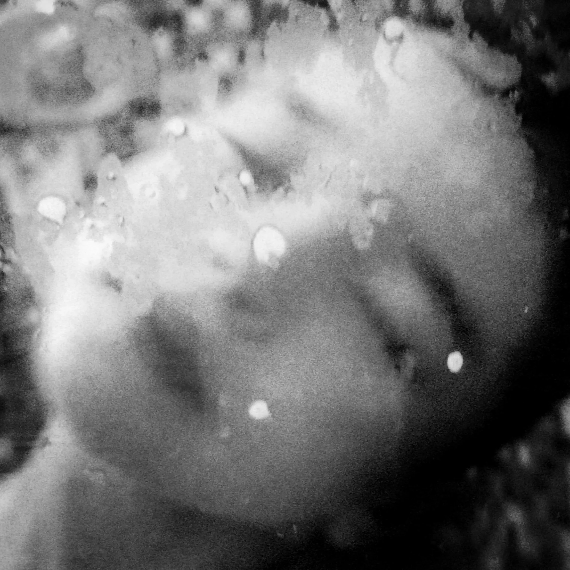 enigmatical journey-66.jpg