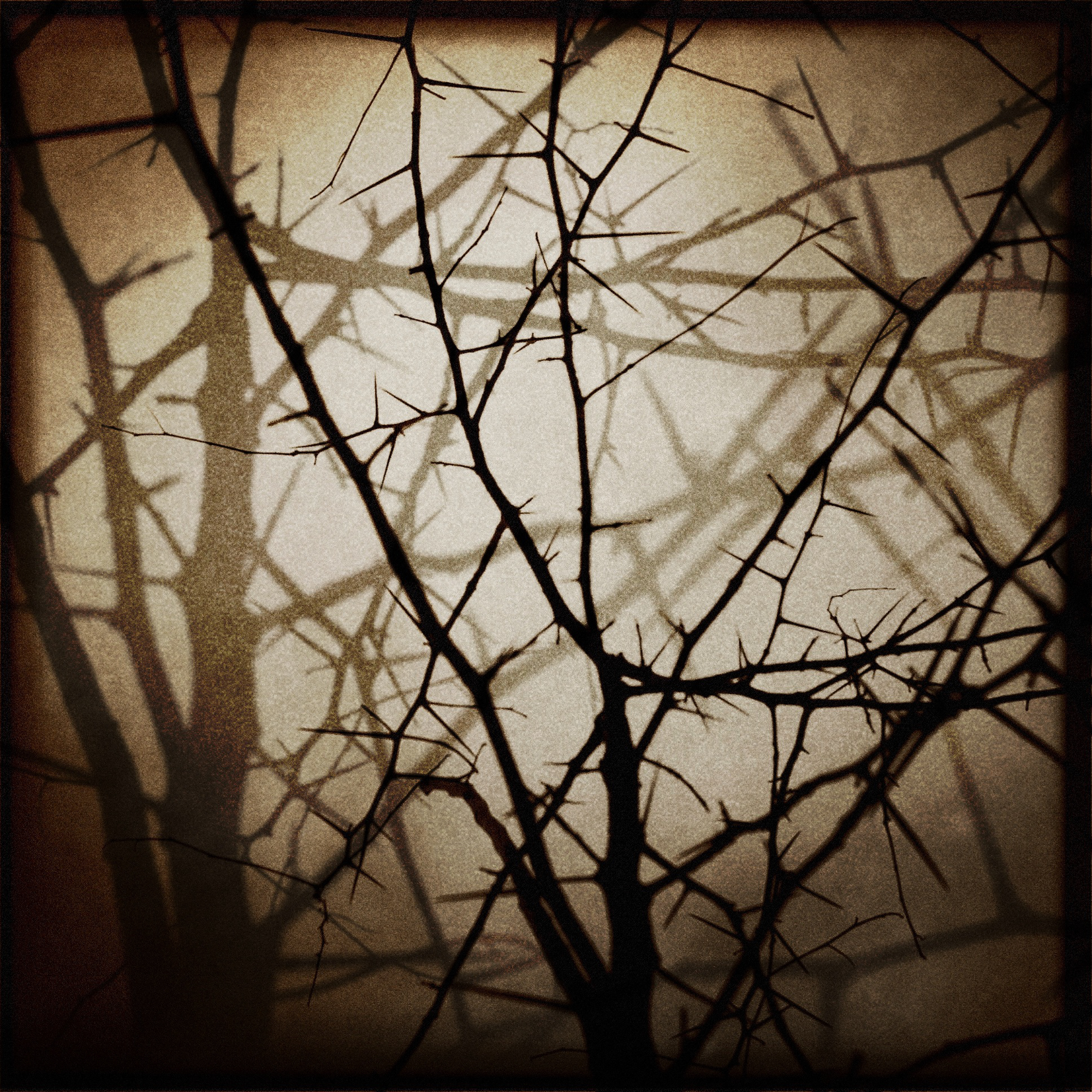 enigmatical journey-67.jpg