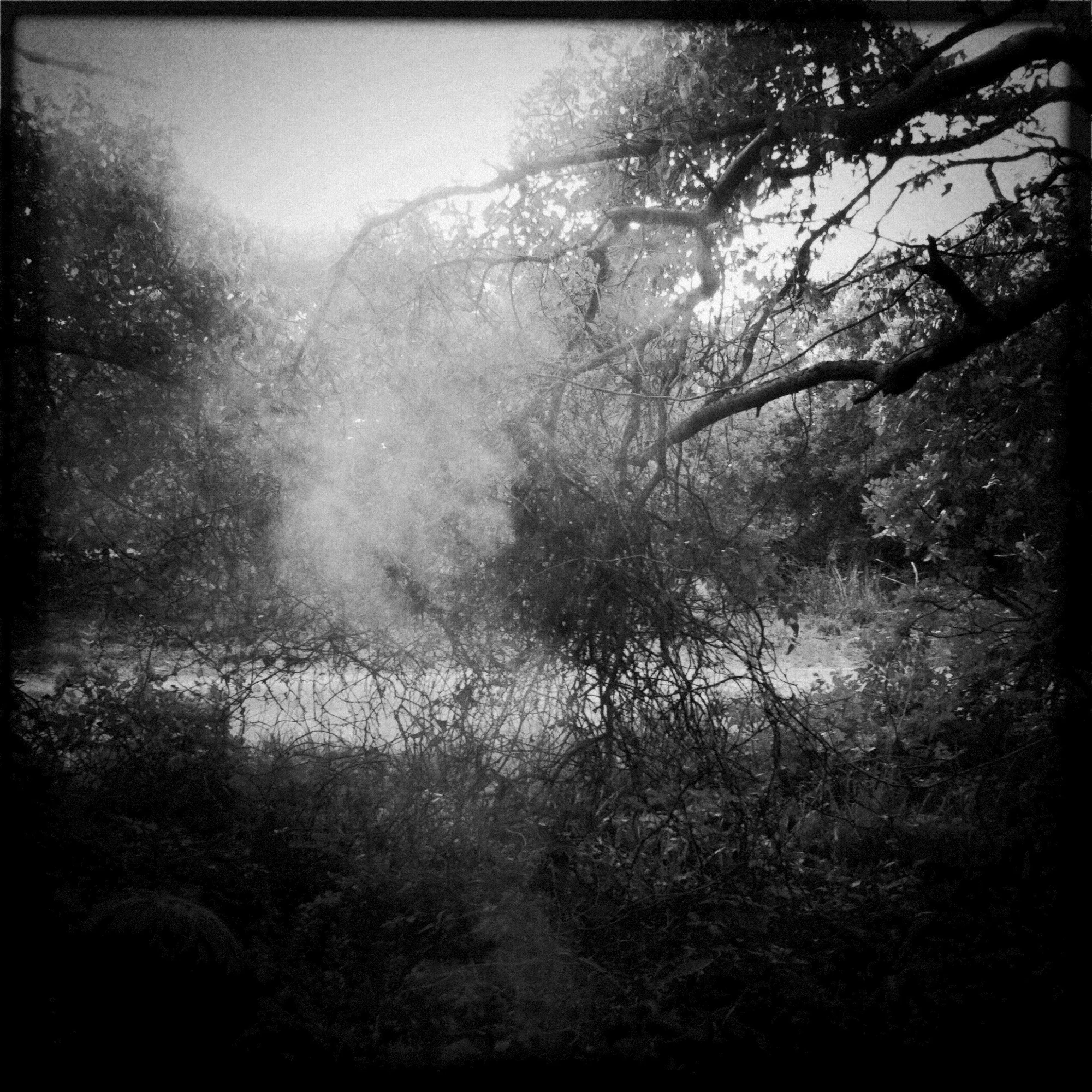 enigmatical journey-69.jpg