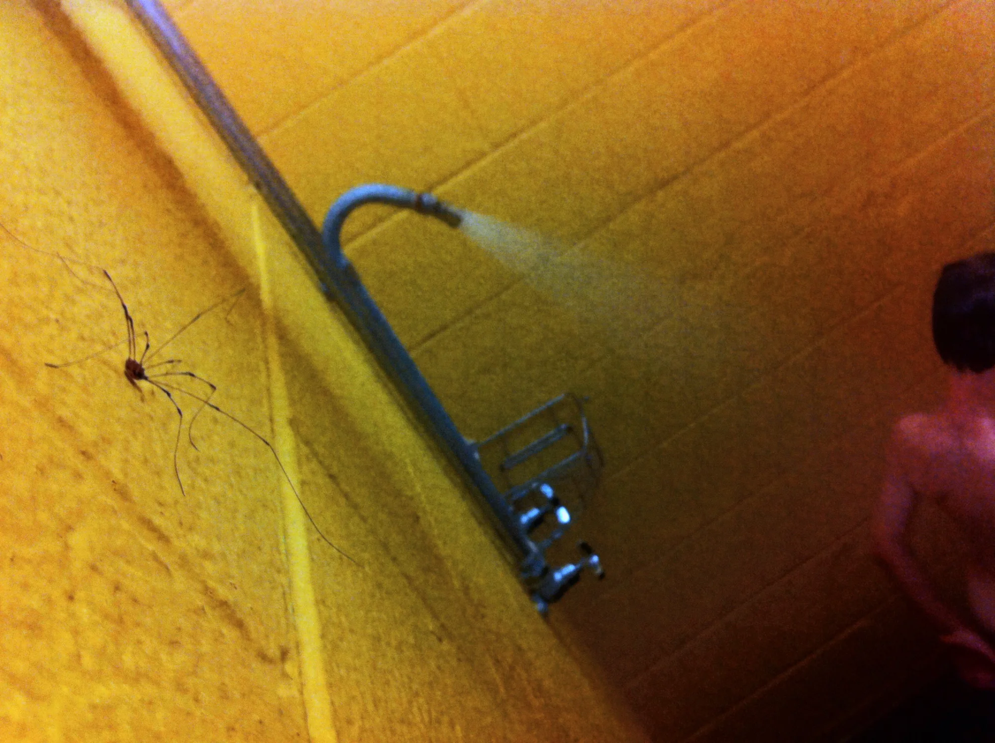 enigmatical journey-70.jpg