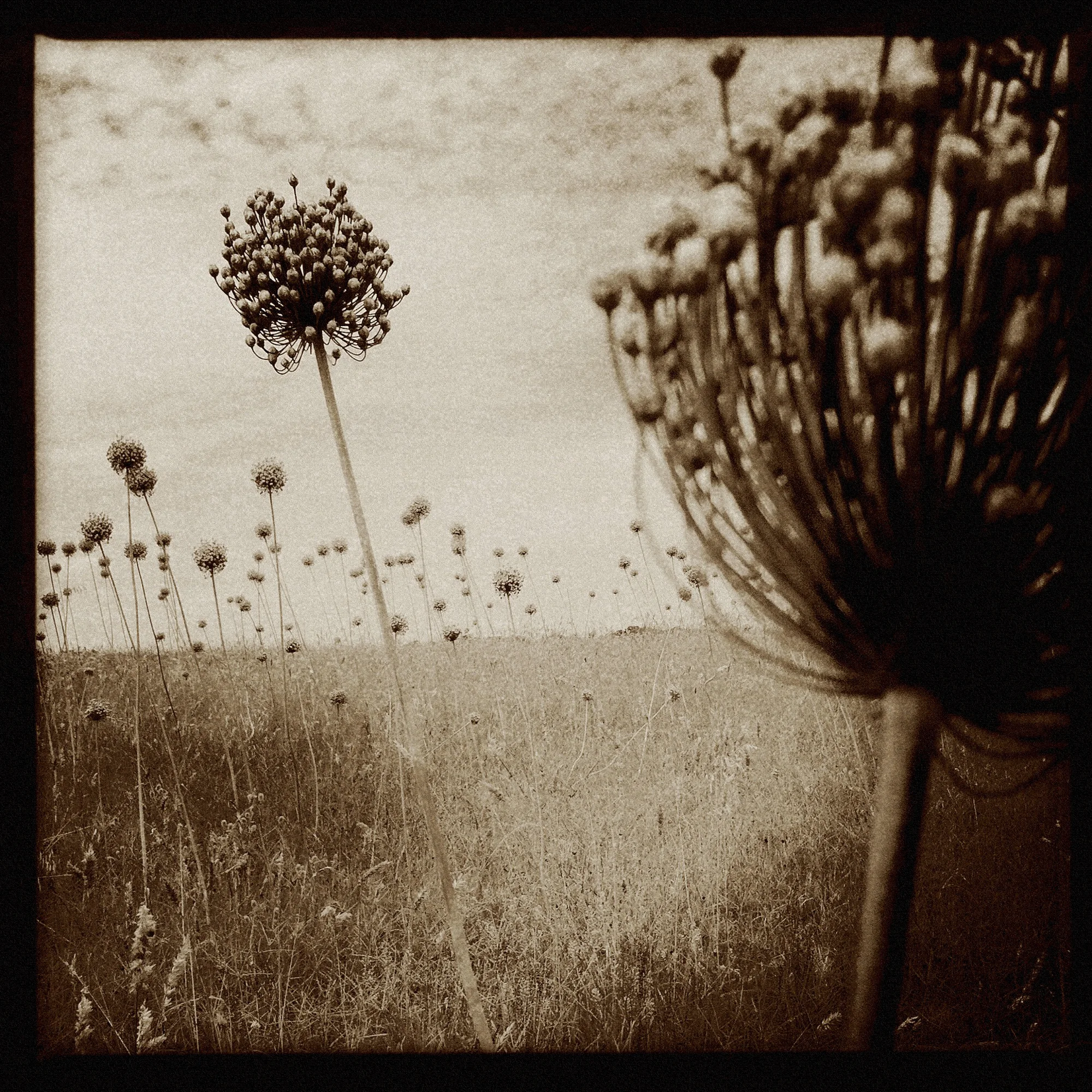 enigmatical journey-77.jpg