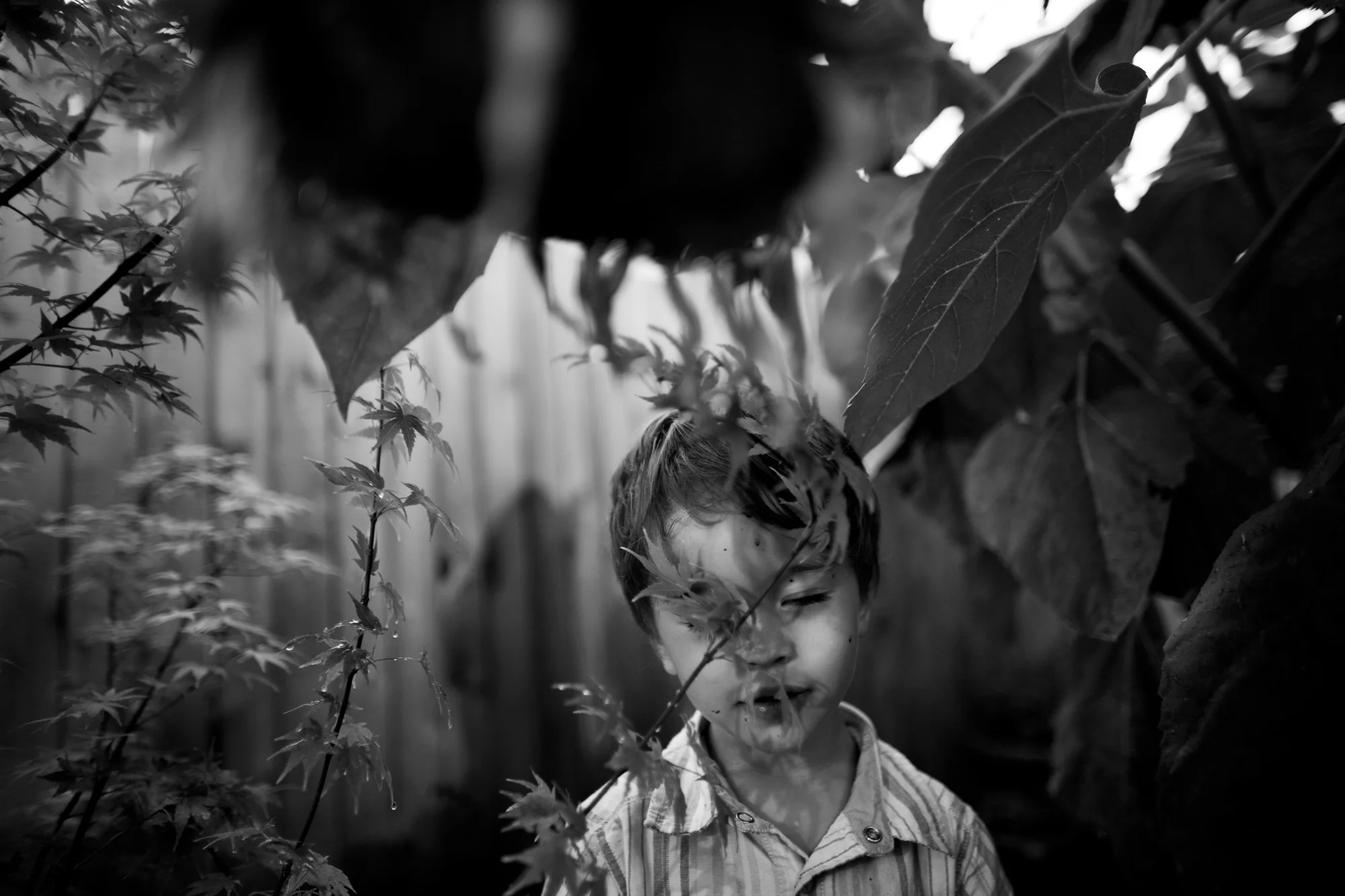 enigmatical journey-101.jpg