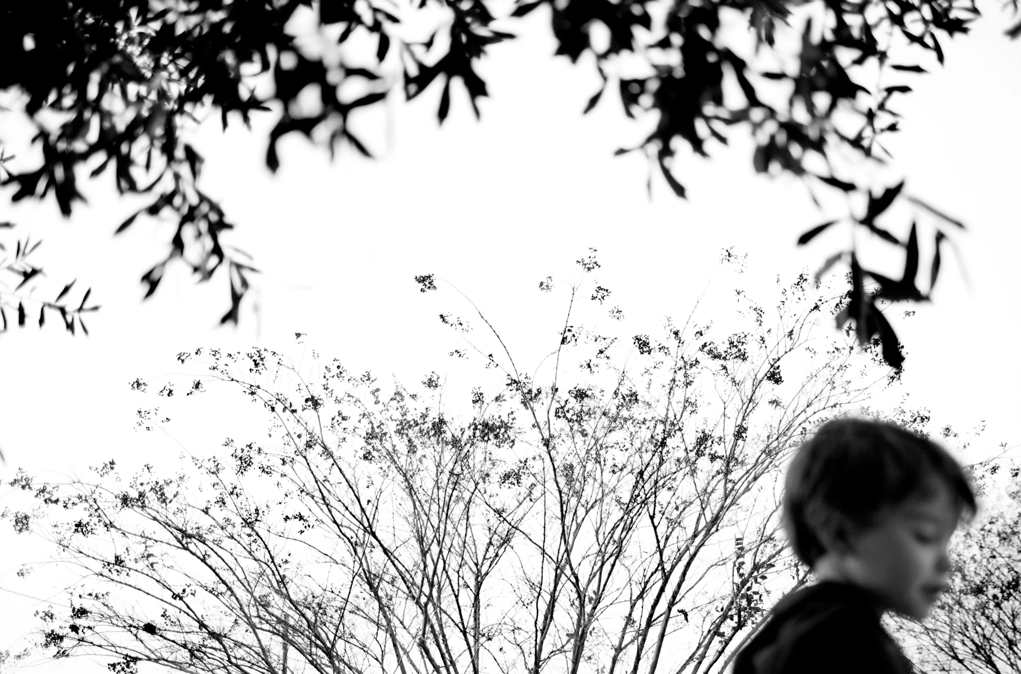 enigmatical journey-105.jpg