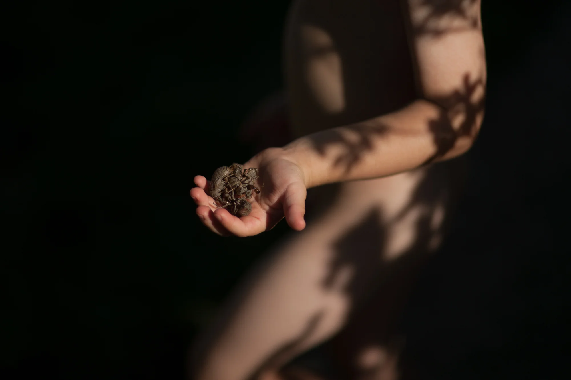 enigmatical journey-113.jpg