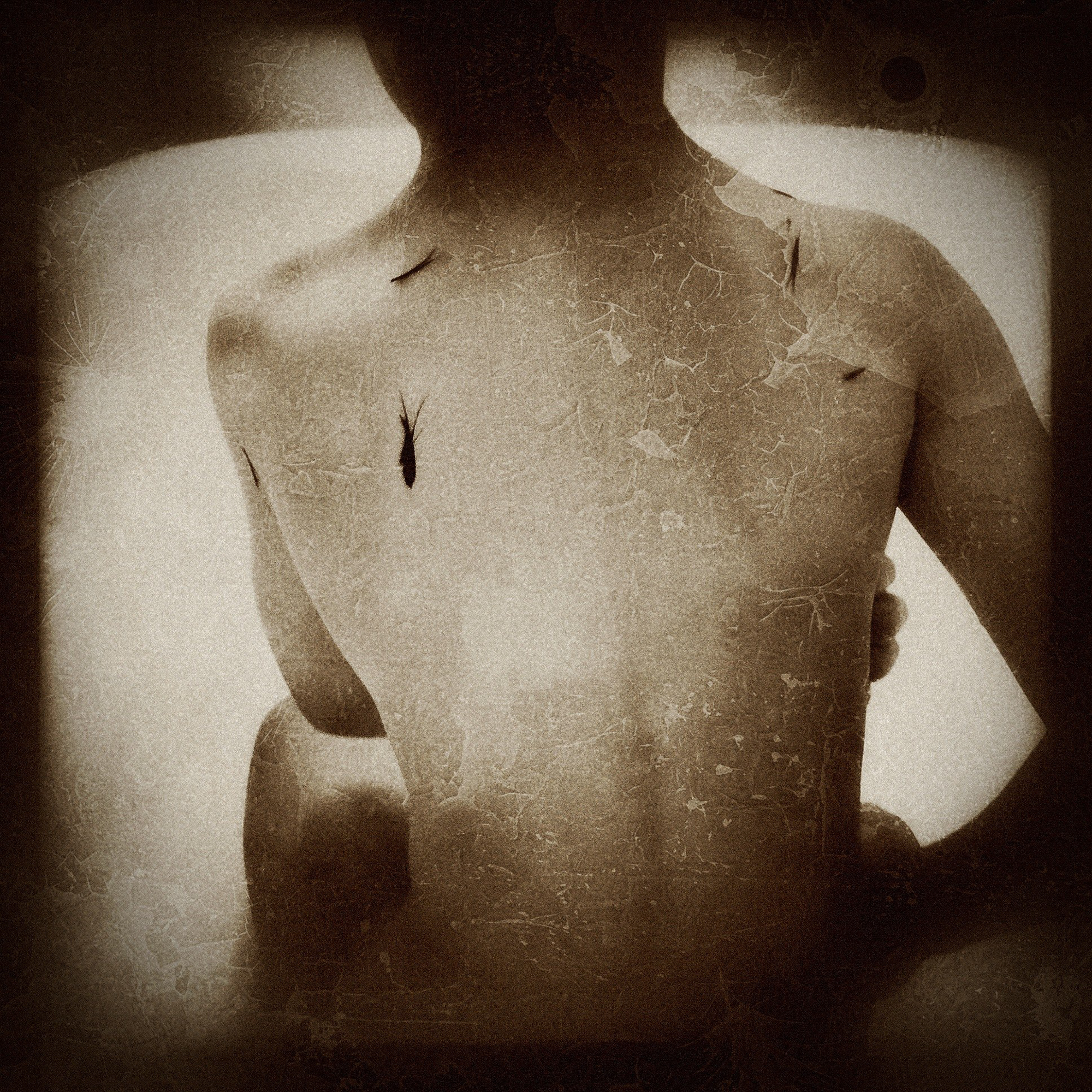 Satellites and crows-1.jpg