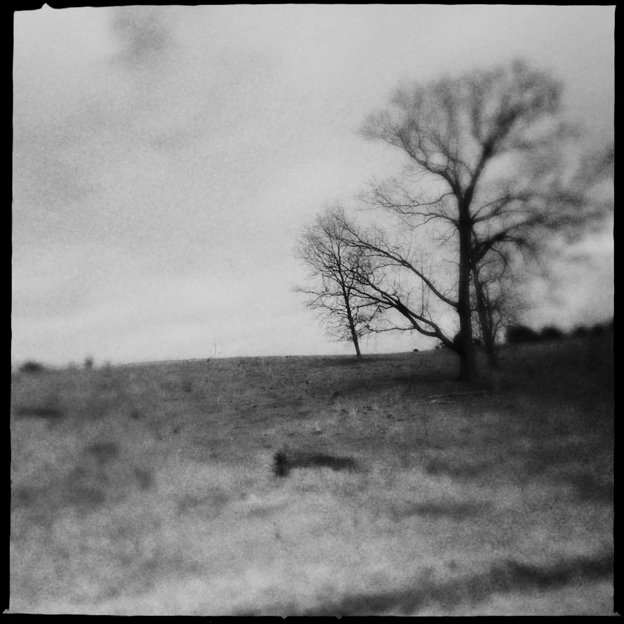 Satellites and crows-4.jpg