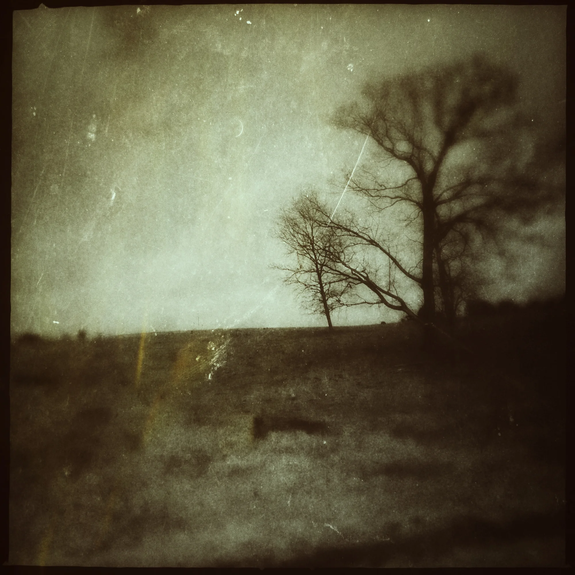 Satellites and crows-5.jpg