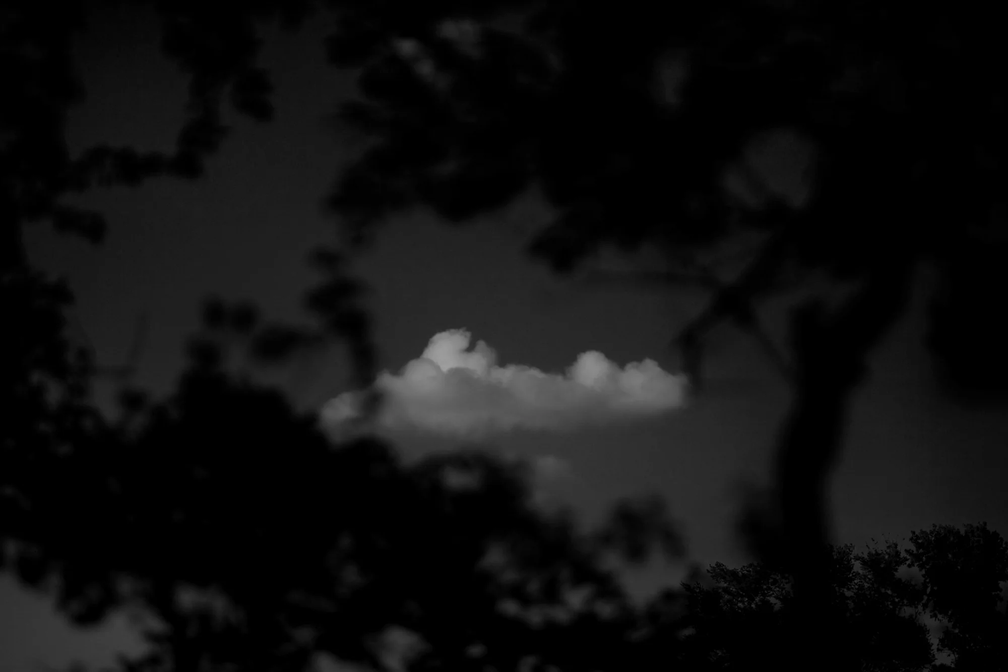 summers end-34.jpg