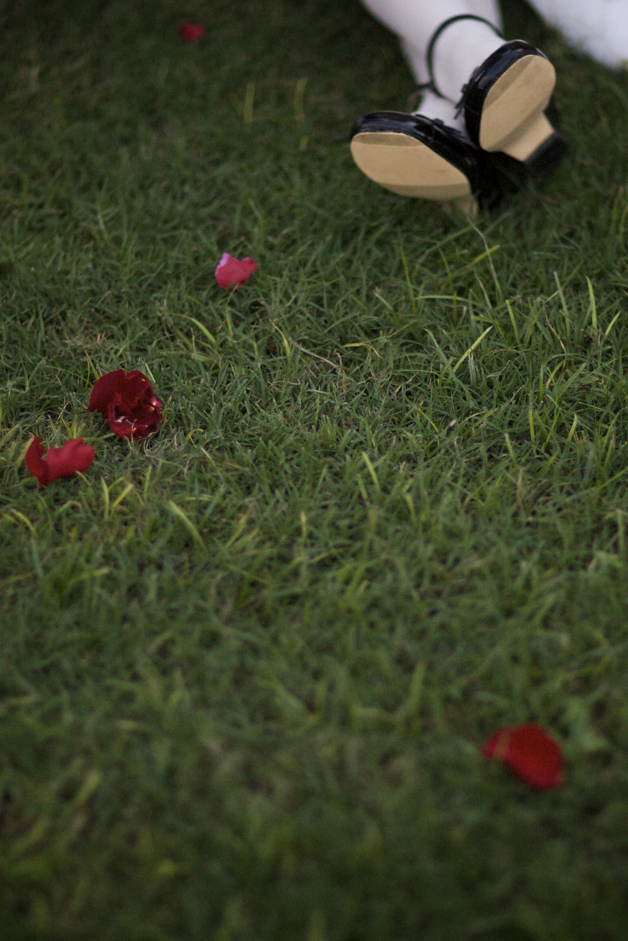 Bugno wedding_1492.jpg