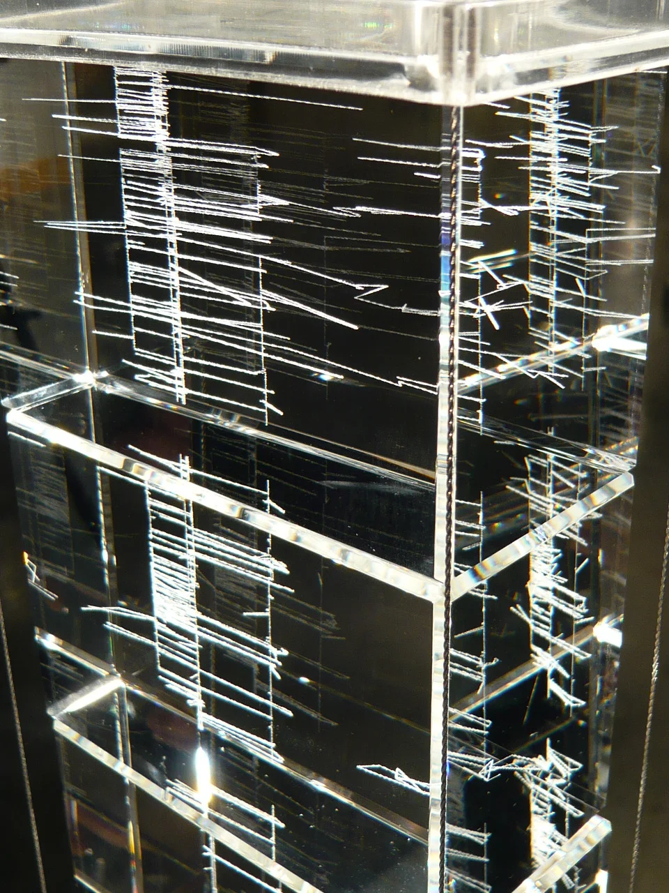 P1000640.JPG