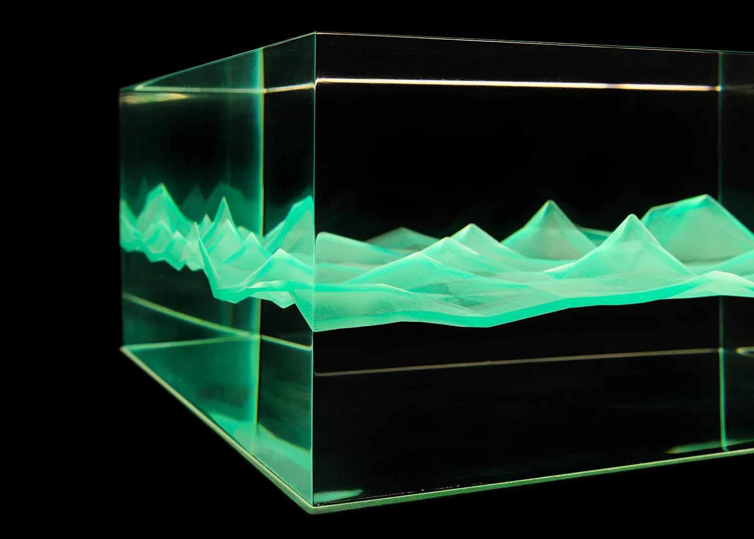 Spending (2006-2015) 2016 | Acrylic, resin | 12x12x5.5in